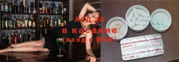 стаф Шадринск